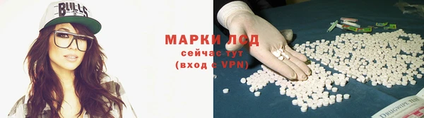 ГАЛЛЮЦИНОГЕННЫЕ ГРИБЫ Армянск
