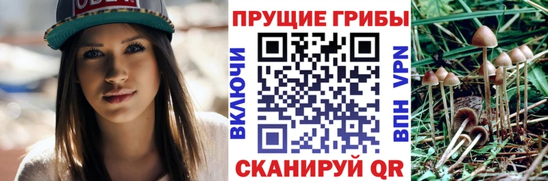 Галлюциногенные грибы Magic Shrooms Тюкалинск